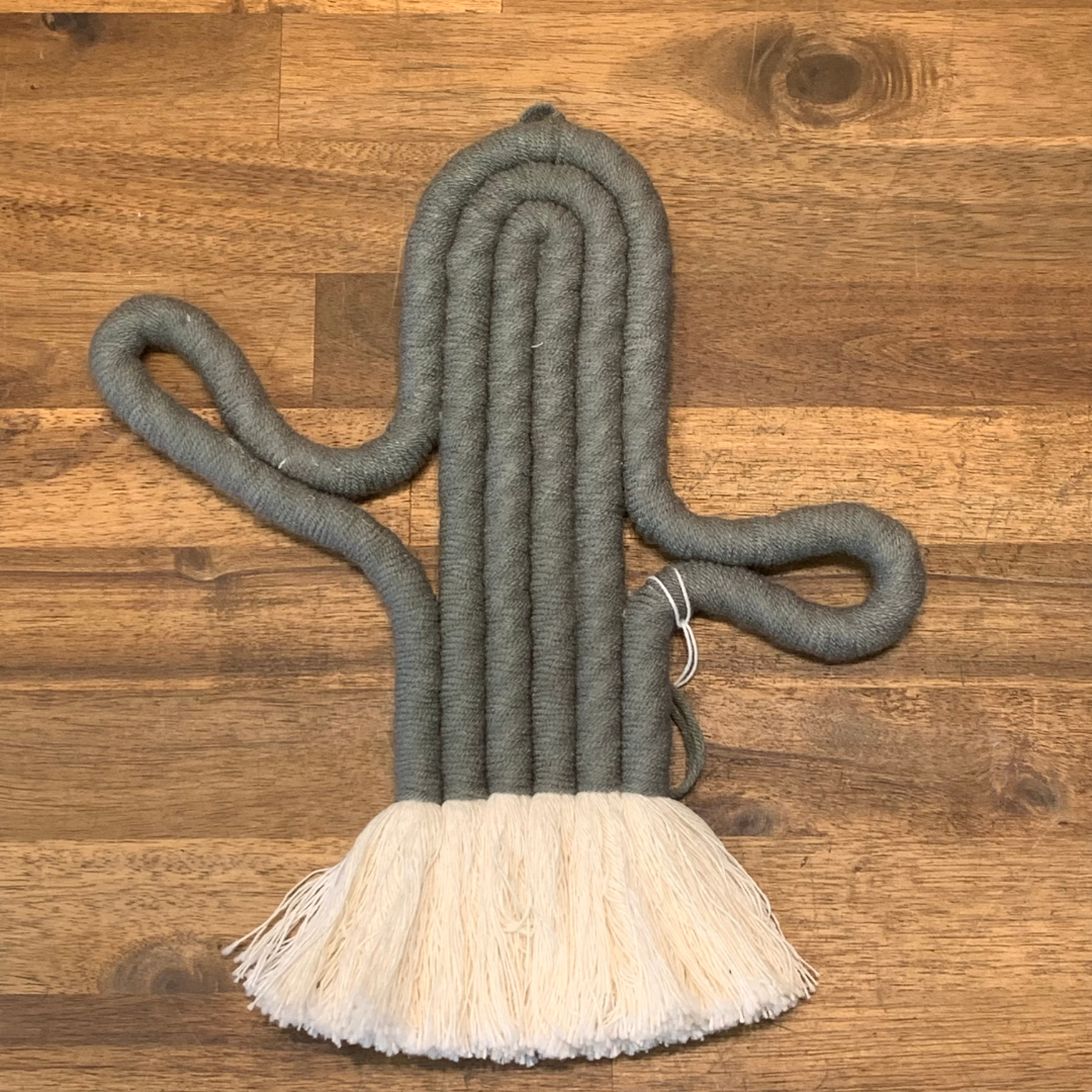 Macrame Cactus Hanger