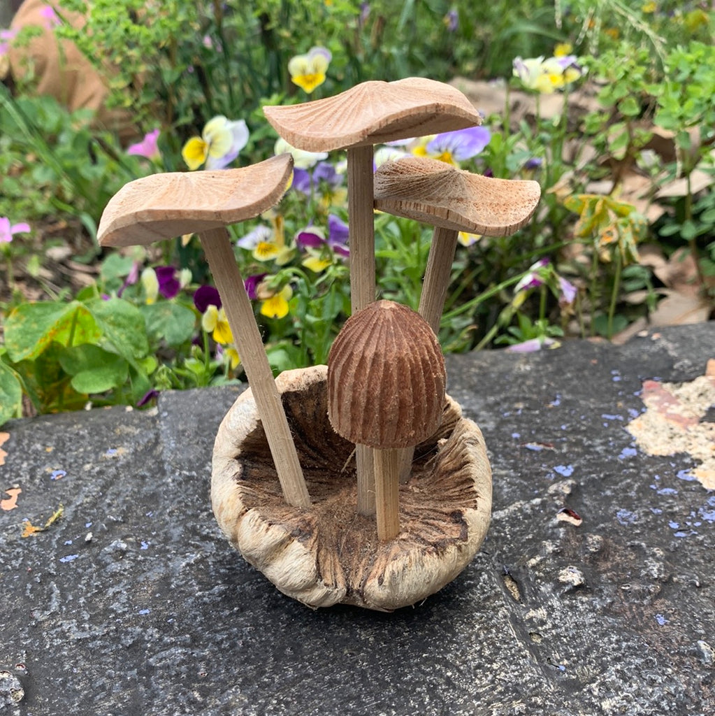 Hand Carved Wooden Mushrooms