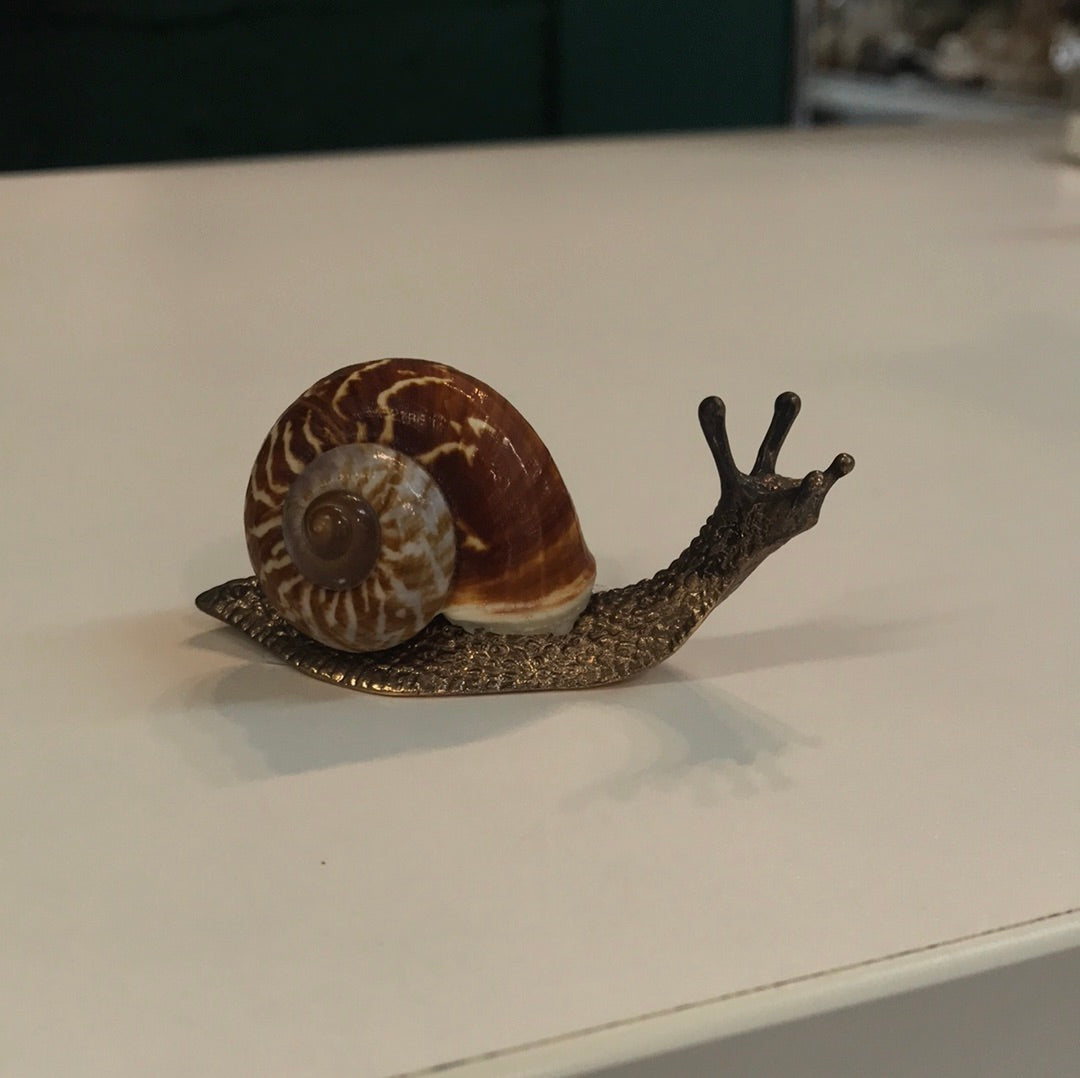 Snail Antique
