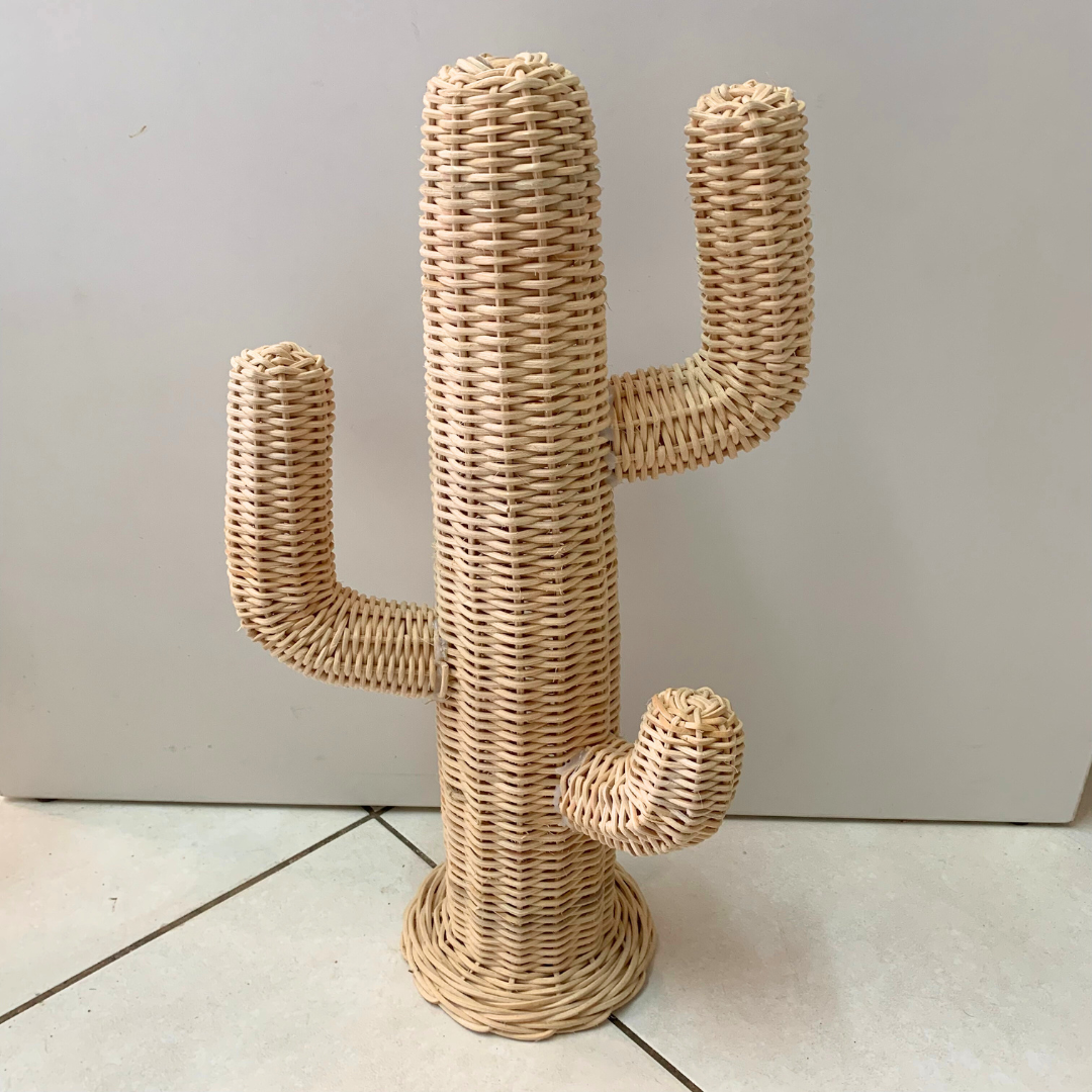 Rattan Cactus