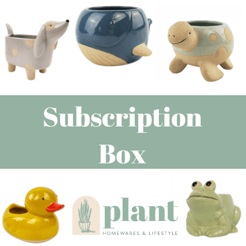 Subscription - Cute Animal Pots - Plant Homewares &amp; Lifestyle