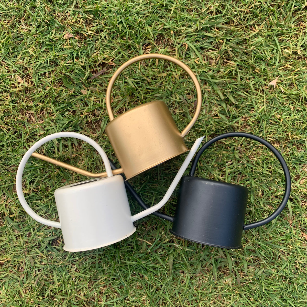 Metal Watering Cans - Plant Homewares &amp; Lifestyle